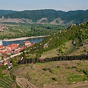 Die artenreichen Trockenrasenflächen und die freifließende Donau sind zwei wesentliche Aspekte des Europäischen Naturschutzdiploms. ©Markus Haslinger