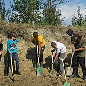Die Schüler arbeiten fleißig an einer Brutwand © Ingrid Spielleuthner