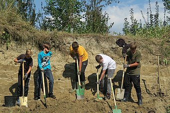 Die Schüler arbeiten fleißig an einer Brutwand © Ingrid Spielleuthner Die Schüler arbeiten fleißig an einer Brutwand © Ingrid Spielleuthner