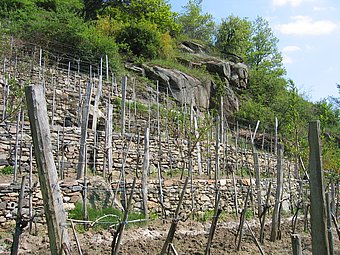 The dry stone wall terracing enables the steep slopes to be used for growing wine © Michael Schimek