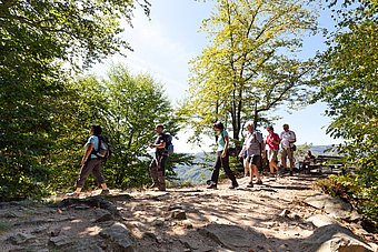 Hiking trails are becoming increasingly popular with tourists © Donau NÖ/Gerald Lechner