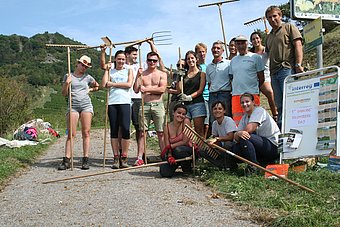 Die freiwilligen Helfer am Höhereck © Welterbegemeinden Wachau